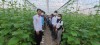 Đoàn công tác Sở Nông – Lâm và Ngư nghiệp tỉnh Tboung Khmum, Vương quốc Campuchia đến tham quan, trao đổi  kinh nghiệm lĩnh vực nông nghiệp