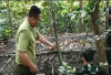 Hạt Kiểm lâm huyện Tân Biên tổ chức kiểm tra, truy quét ngăn chặn các hành vi bẫy bắt động vật rừng