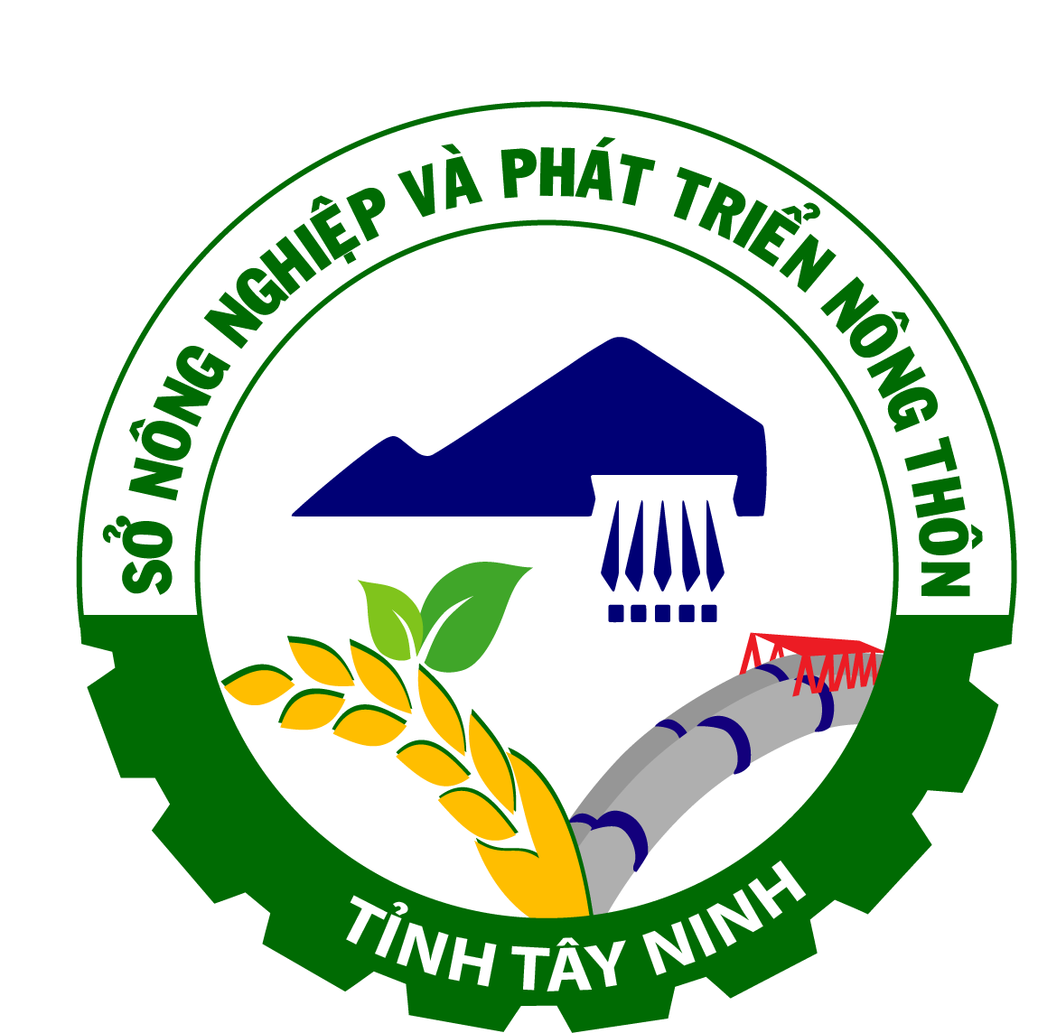 Bố trí thời vụ sản xuất lúa Đông Xuân 2012-2013.