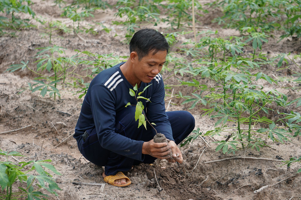 Ông Hải (người dân xã Tân Thành) đang trồng rừng theo mô hình DCs