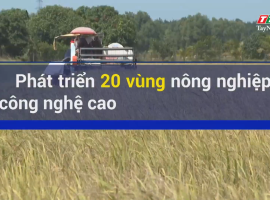 Tây Ninh với mô hình nông nghiệp công nghệ cao