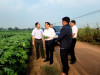 Thứ trưởng Bộ Nông nghiệp và PTNT thăm Tây Ninh