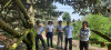 Cục Bảo vệ thực vật thăm đồng, khảo sát tại huyện Dương Minh Châu