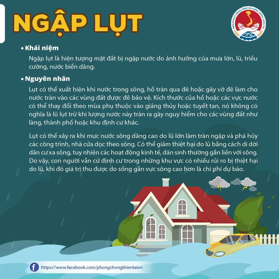 poster ngap lut 01